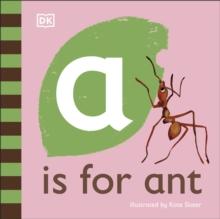 a ant