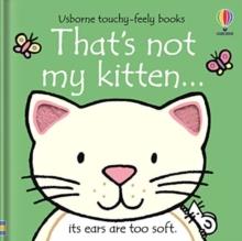 kitten