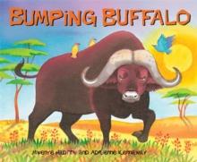 buffalo