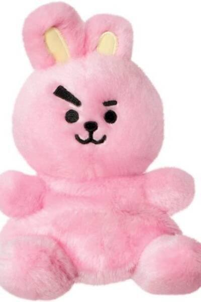 BT21 COOKY Palm Pal 5In