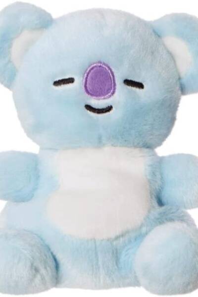 BT21 KOYA Palm Pal 5In