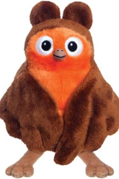 Robin Robin Robin Robin