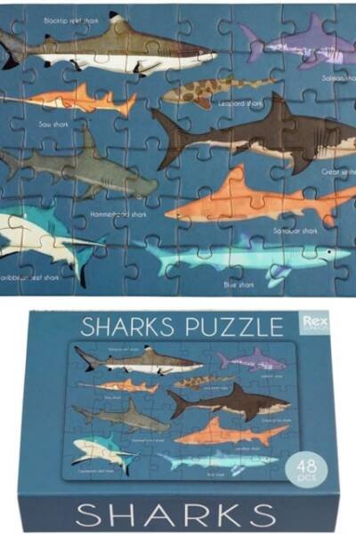 Matchbox jigsaw puzzle - Sharks