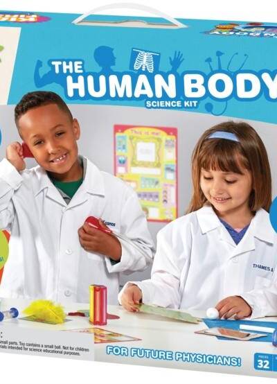 The Human Body The Human Body