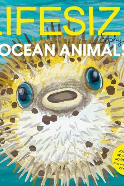 Lifesize Ocean Animals