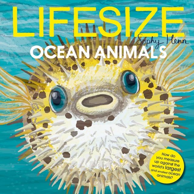 Lifesize Ocean Animals Lifesize Ocean Animals