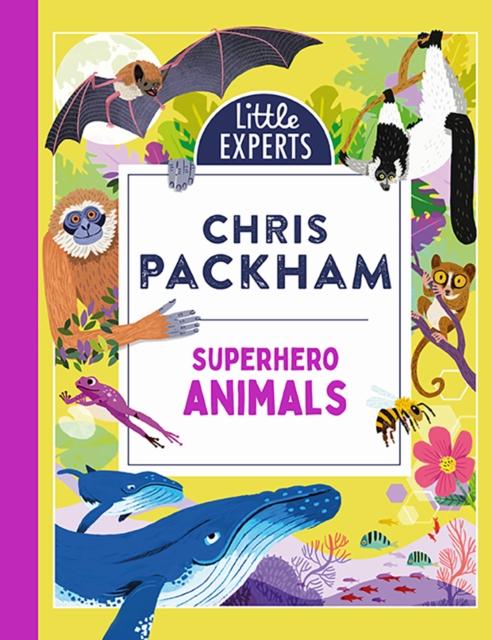 Superhero Animals Superhero Animals