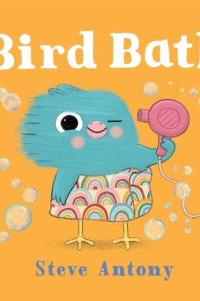Bird Bath