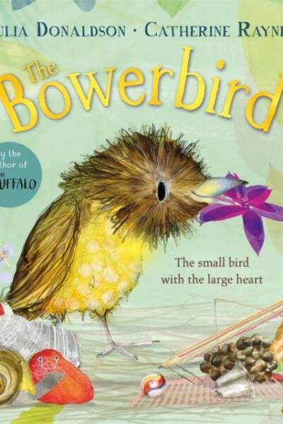 The Bowerbird