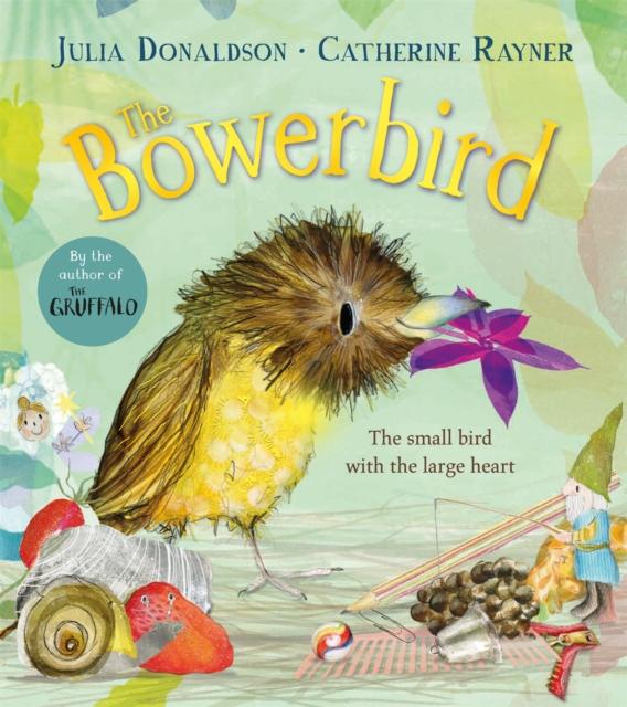 The Bowerbird The Bowerbird