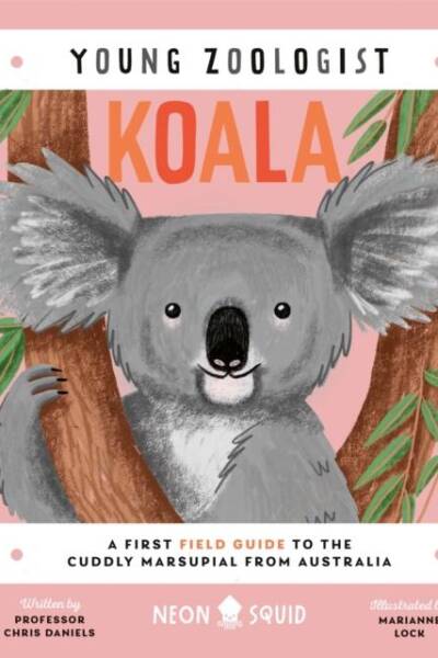 Koala (Young Zoologist)
