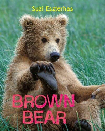 Brown Bear