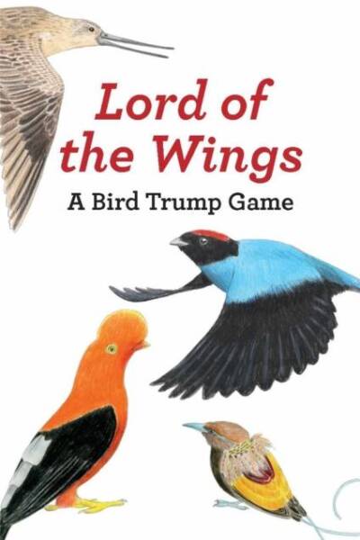Lord of the Wings A Bird Trump Game
