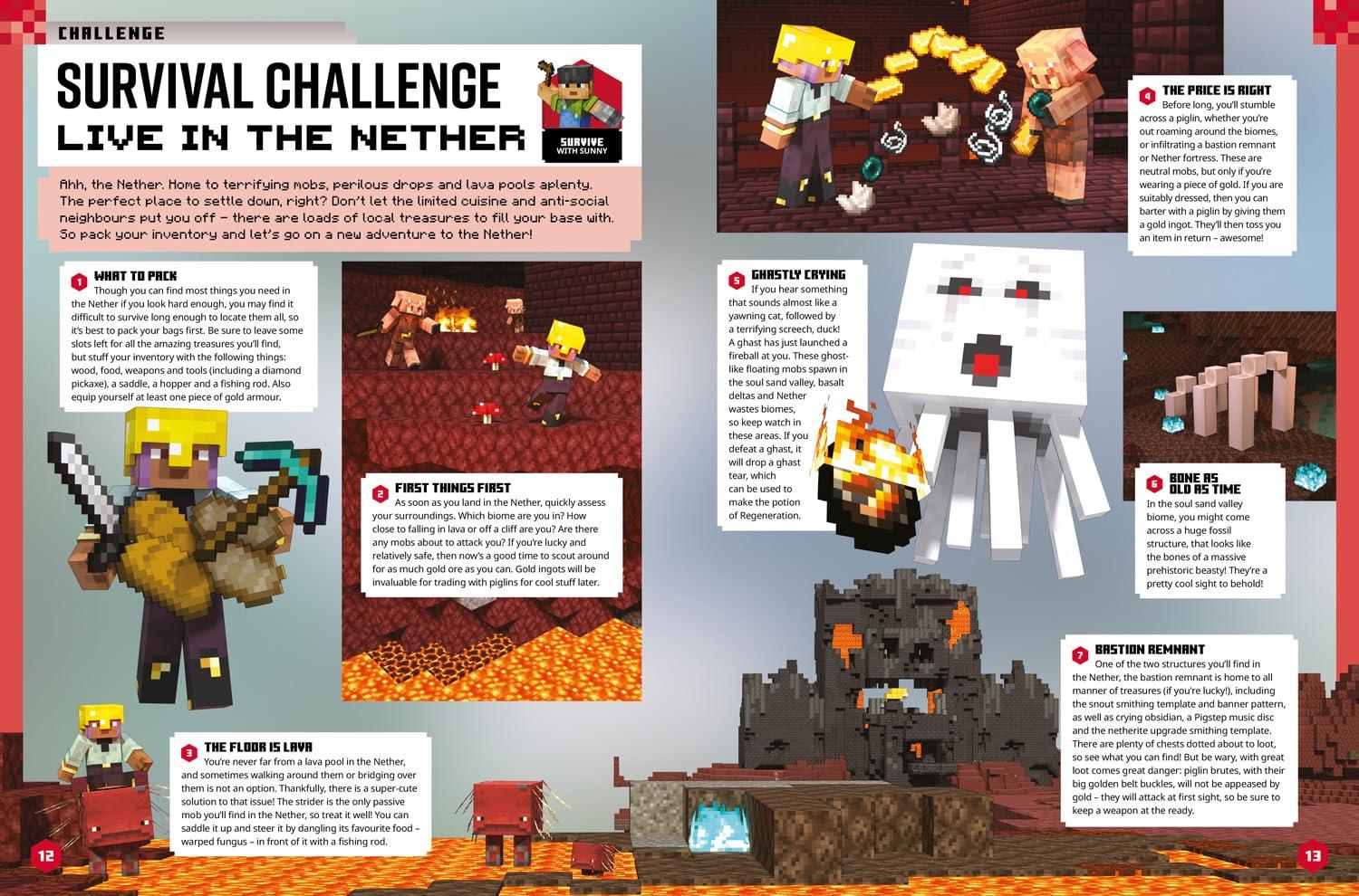 Minecraft 2