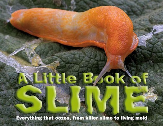 A Little Book of Slime