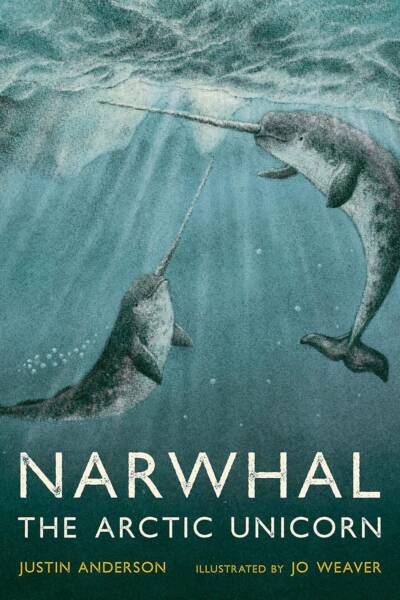 Narwhal: The Arctic Unicorn