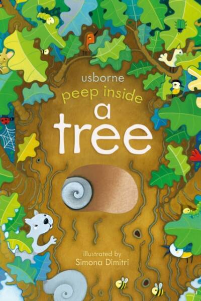 Peep Inside a Tree