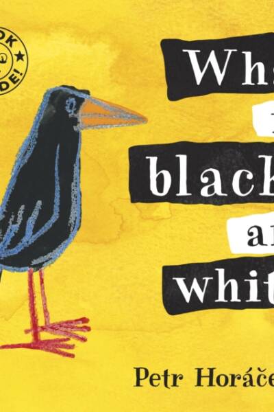 What Is Black and White?