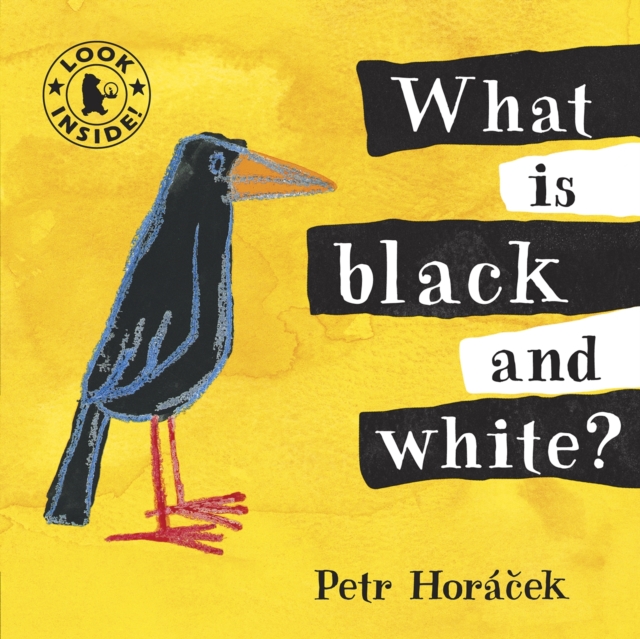 What Is Black and White? What Is Black and White?