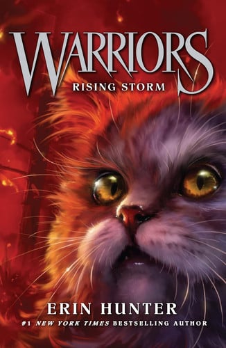 Rising Storm : Book 4