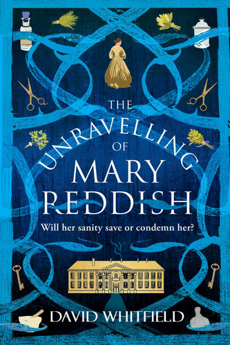 The Unravelling of Mary Reddish A Powerful Historical Novel about a Woman Unjustly Committed to an Asylum