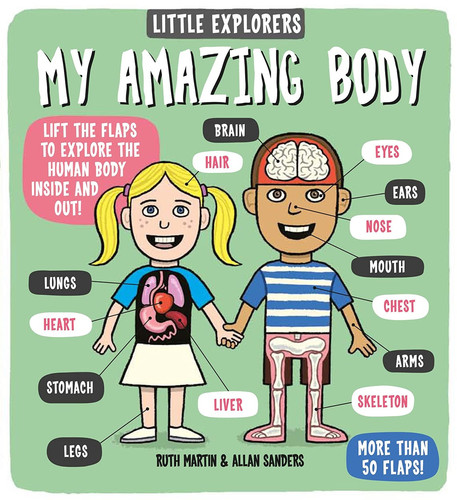 Little Explorers: My Amazing Body Little Explorers: My Amazing Body