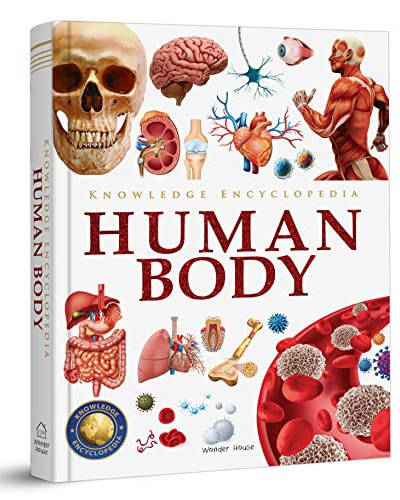 Knowledge Encyclopedia : Human Body