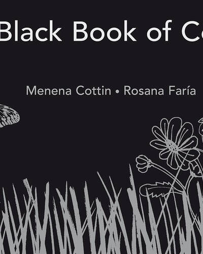 The Black Book of Colours