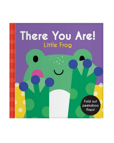 There You Are: Little Frog