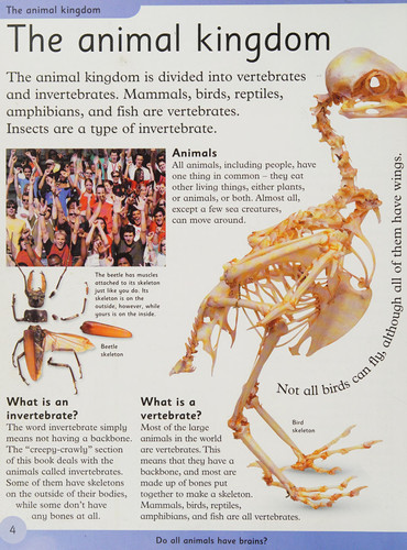 First Animal Encyclopedia : A First Reference Book for Children