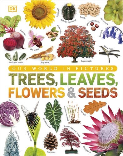 Trees, Leaves, Flowers & Seeds : A Visual Plant Encyclopedia for Kids Trees, Leaves, Flowers & Seeds : A Visual Plant Encyclopedia for Kids