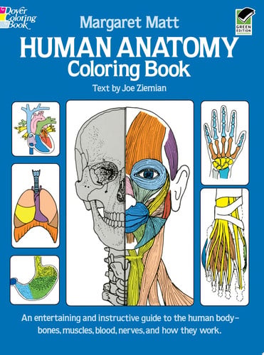 Human Anatomy : Coloring Book