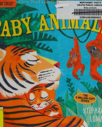 Indestructibles: Baby Animals : Chew Proof · Rip Proof · Nontoxic · 100% Washable (Book for Babies, Newborn Books, Safe to Chew)