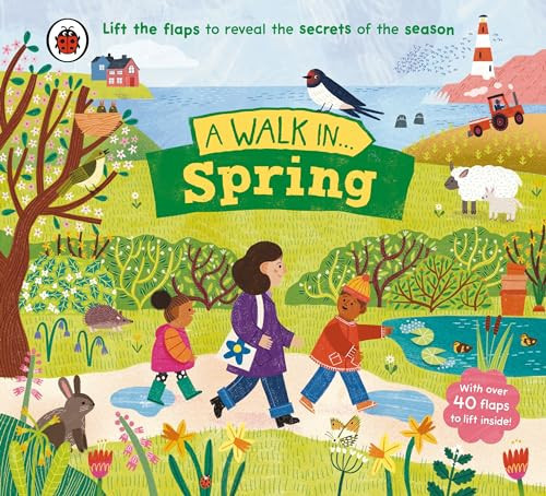 A Walk in Spring : Lift the flaps to reveal the secrets of the season A Walk in Spring : Lift the flaps to reveal the secrets of the season