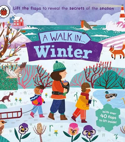 A Walk in Winter : Lift the flaps to reveal the secrets of the season