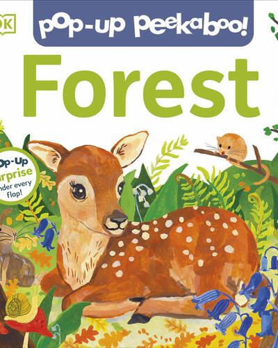 Pop-Up Peekaboo! Forest : A Woodland Surprise Under Every Flap!