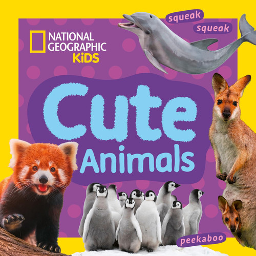 Cute Animals : A Fun First Board Book for Toddlers to Learn About Animals Cute Animals : A Fun First Board Book for Toddlers to Learn About Animals