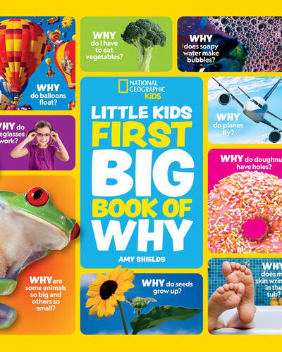 Little Kids First Big Book of Why : Fact-Filled Fun Book with Questions and Answers About Everything