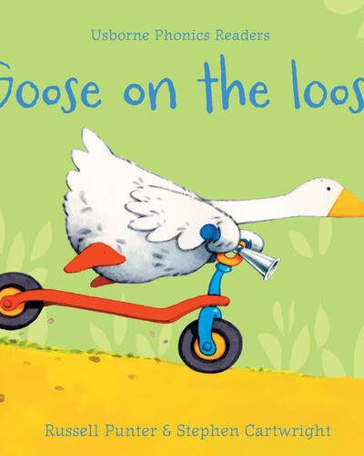 Goose on the loose Goose on the loose