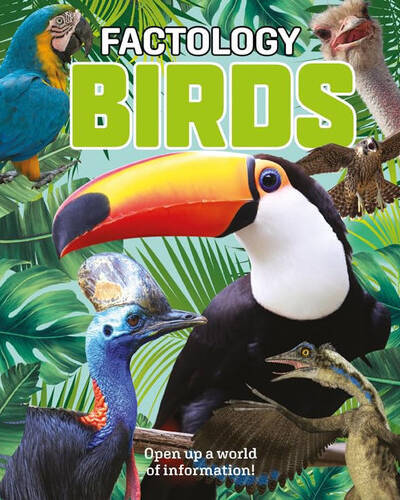 Factology: Birds : Open Up a World of Information! Factology: Birds : Open Up a World of Information!