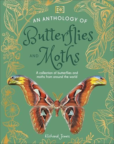 An Anthology of Butterflies and Moths : A Collection of Butterflies and Moths from Around the World An Anthology of Butterflies and Moths : A Collection of Butterflies and Moths from Around the World