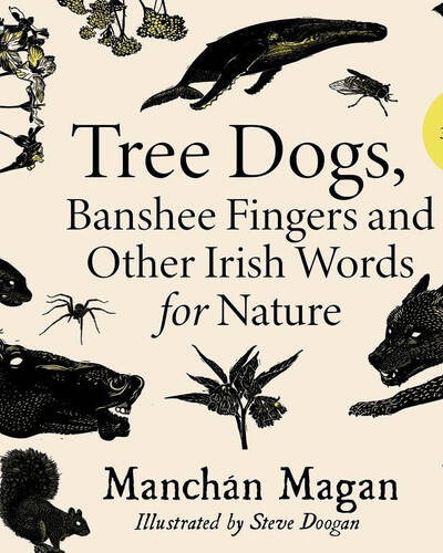 Tree Dogs, Banshee Fingers and Other Irish Words for Nature
