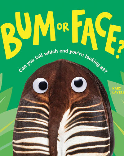 Bum or Face Bum or Face
