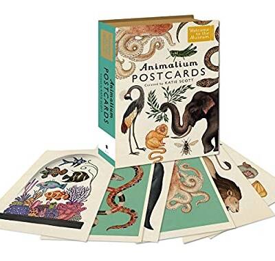 Animalium Postcards