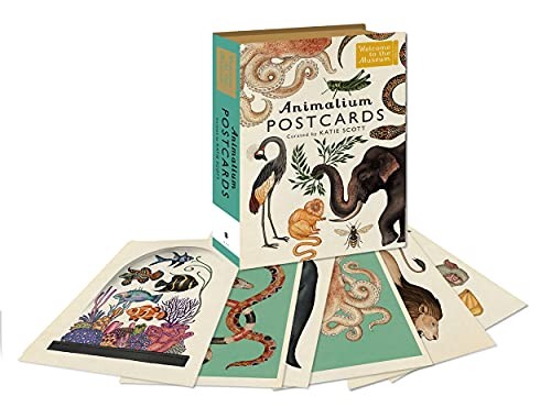 Animalium Postcards Animalium Postcards
