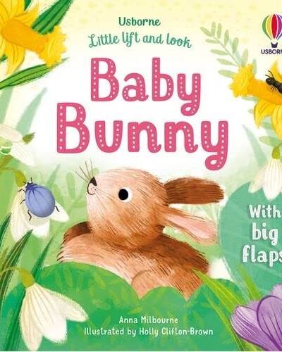 Little Lift and Look Baby Bunny