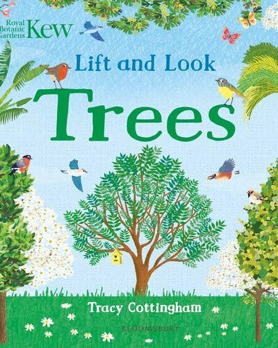 Kew: Lift and Look Trees