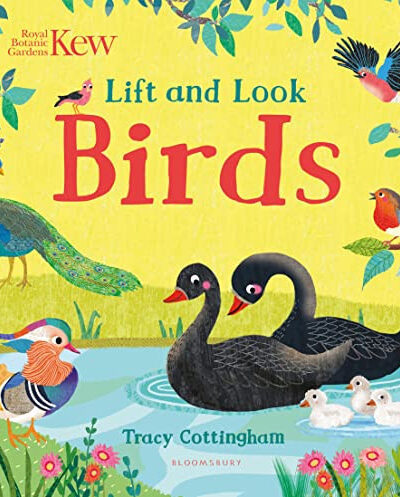 Kew: Lift and Look Birds Kew: Lift and Look Birds