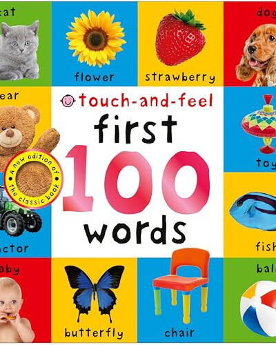 First 100 Words: Touch-and-Feel