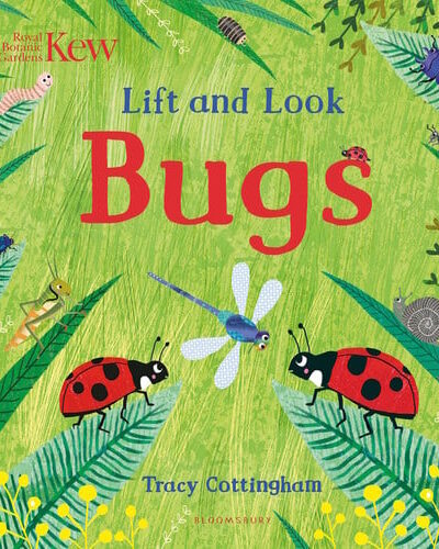 Kew: Lift and Look Bugs
